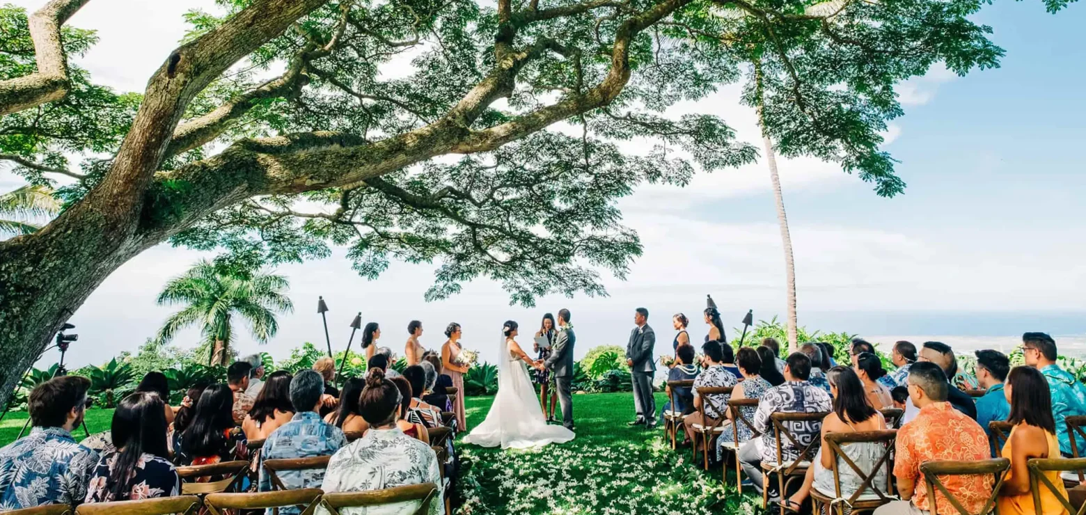 Outdoor wedding ceremony beneath canopy of monkeypod trees