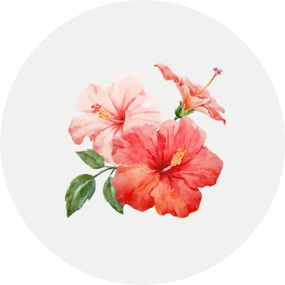 Hawaii Hibiscus flower