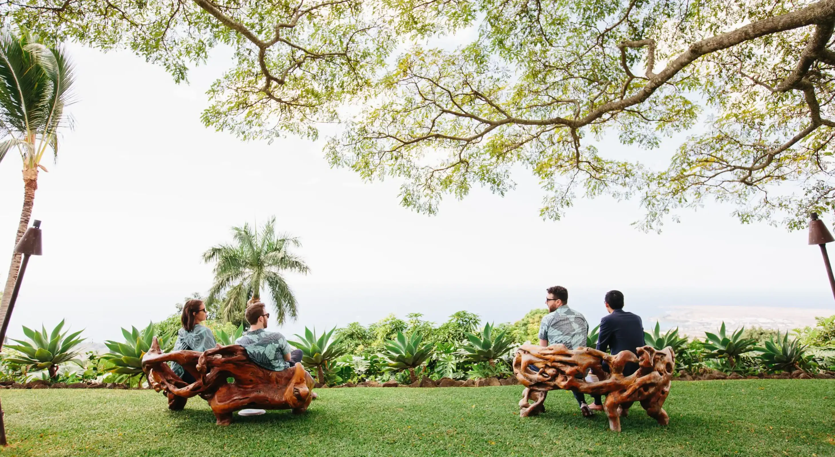 Guests sitting on benches under the monkeypod tree enjoying the Kona Coast view from a romantic Big Island estate