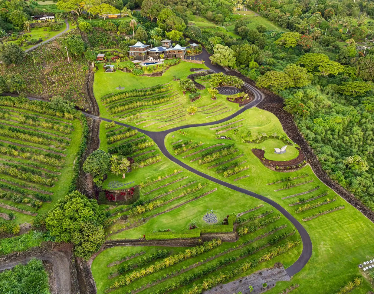 Aerial view of 30-acre Hawaii estate with Kona coffee trees and ocean backdrop