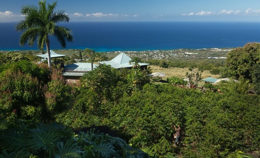 Panoramic ocean view overlooking the Kona coast from Holualoa Inn