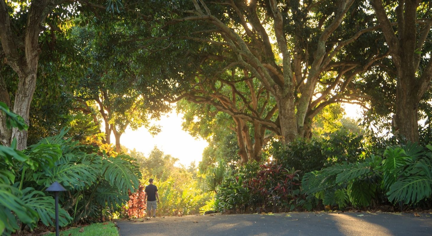 Peaceful garden path surrounded by lush tropical greenery at Holualoa Inn